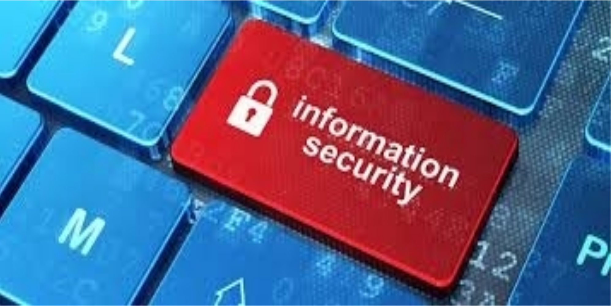 You are currently viewing Information Security in Project Management