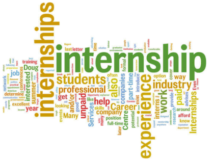 The Crucial Role of Internships in Launching Professional Careers